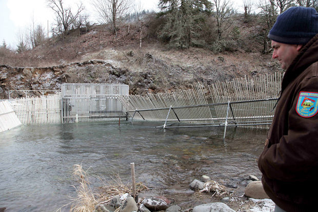 Disappearing Salmon Hatcheries